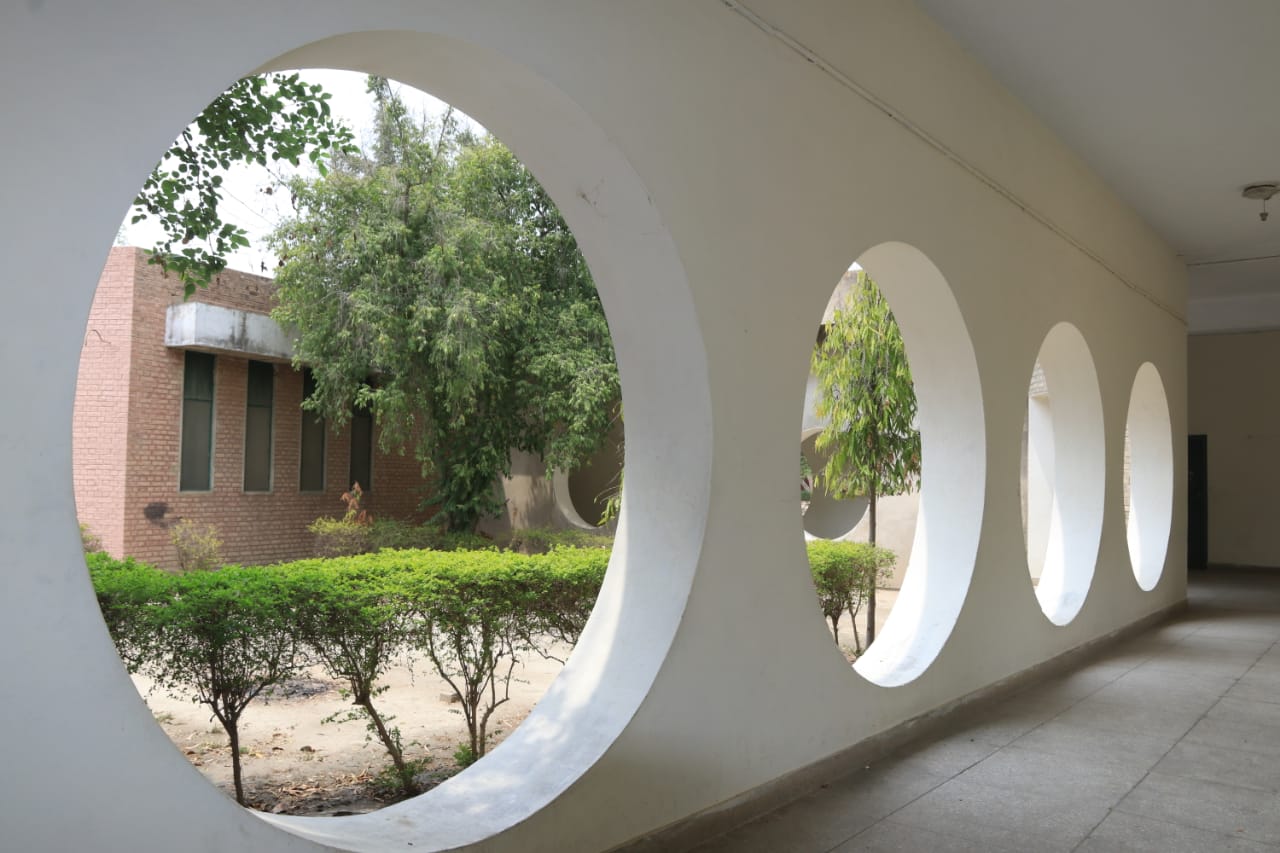 College Gallery Image